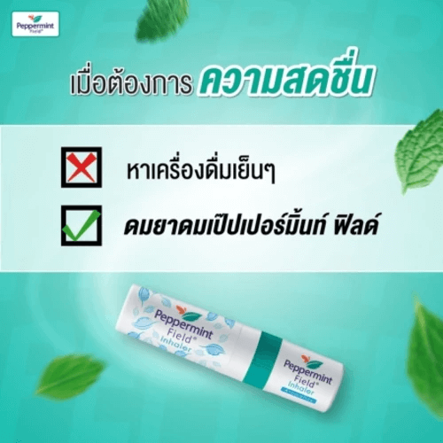 ยาดม เป๊ปเปอร์มิ้นท์ ฟิลด์ กลิ่นออริจินอล ขนาด 2 ซีซี จำนวน 240 ชิ้น